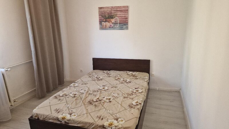 Lacul Tei, Domino, Parcul Circului