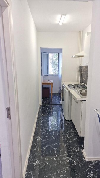 Lacul Tei, Domino, Parcul Circului