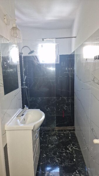 Lacul Tei, Domino, Parcul Circului